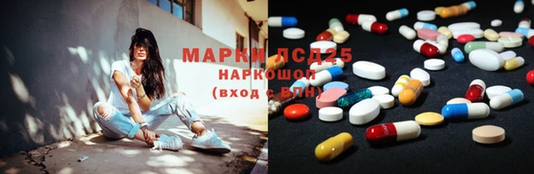 ГАЛЛЮЦИНОГЕННЫЕ ГРИБЫ Беломорск