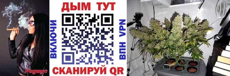 Конопля план Первомайск